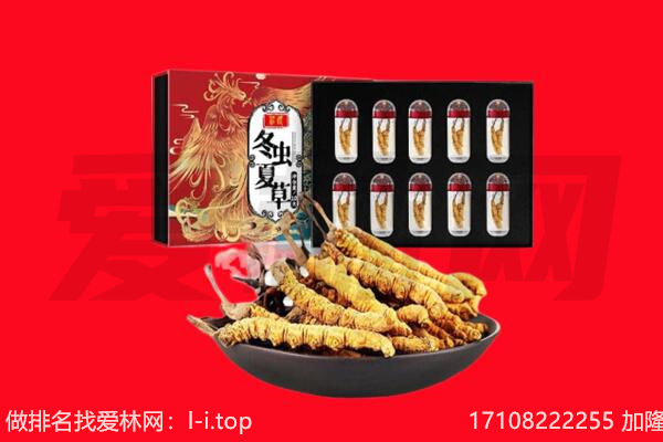 沁源县回收虫草.jpg
